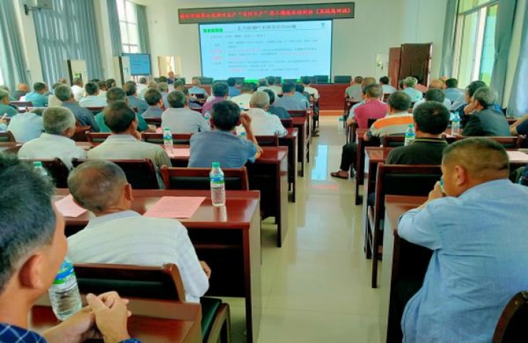 龙烟(冰雪)参数详解 龙烟(冰雪)香烟正品价格表 