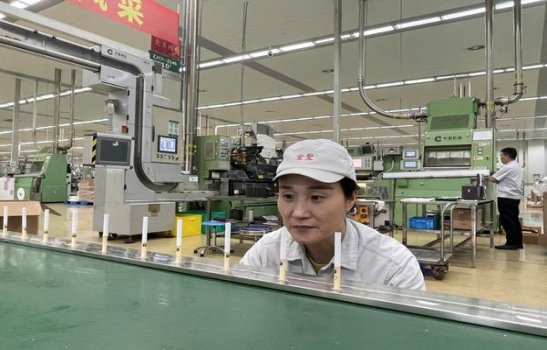 555(蓝尊中支亚太版)厂家批发，555(蓝尊中支亚太版)多少钱一包2024？