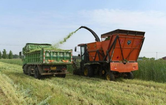 万宝路软白金意大利含税版多少钱一包？万宝路软白金意大利含税版多少钱一盒？