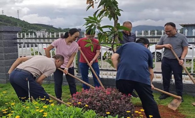 百乐(榴莲)价格表图一览表 百乐(榴莲)批发价格是多少？