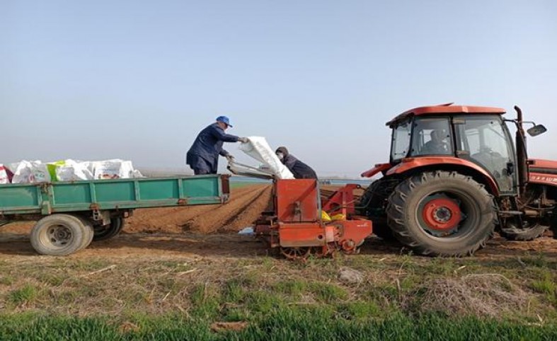 中南海(1mg出口日本)一手货源，中南海(1mg出口日本)什么价格？