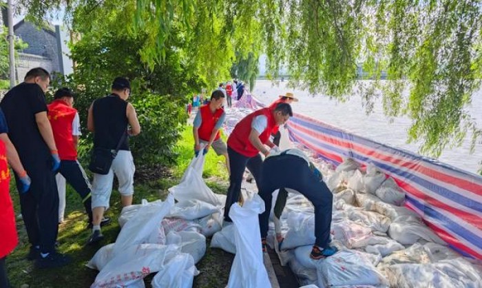 金圣(软)一手渠道，金圣(软)价格表和图片