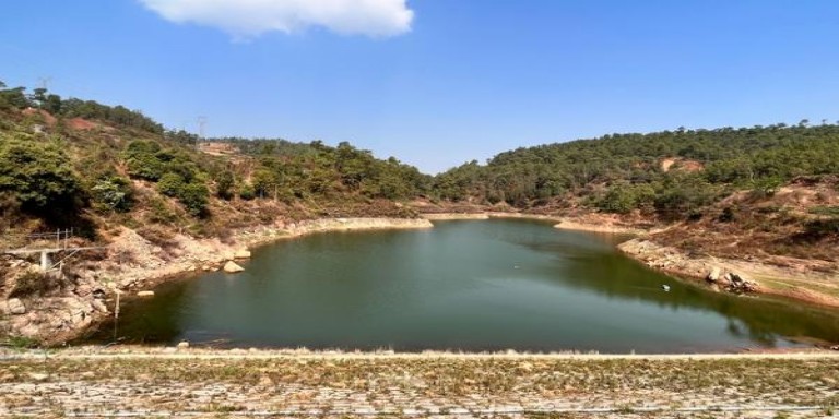 一品梅(特长)厂家渠道，一品梅(特长)什么价格？