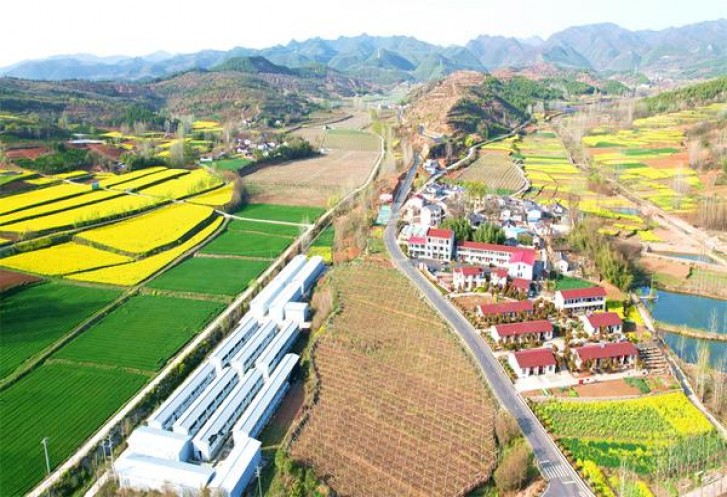 石林(白)参数详解 石林(白)多少钱一包2025？