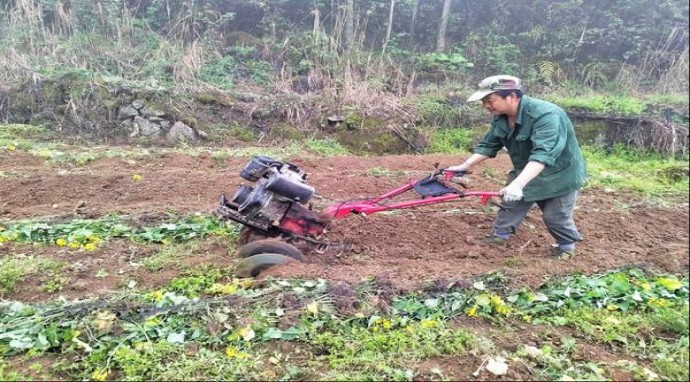 钻石(山海关)厂家，钻石(山海关)批发价格是多少？