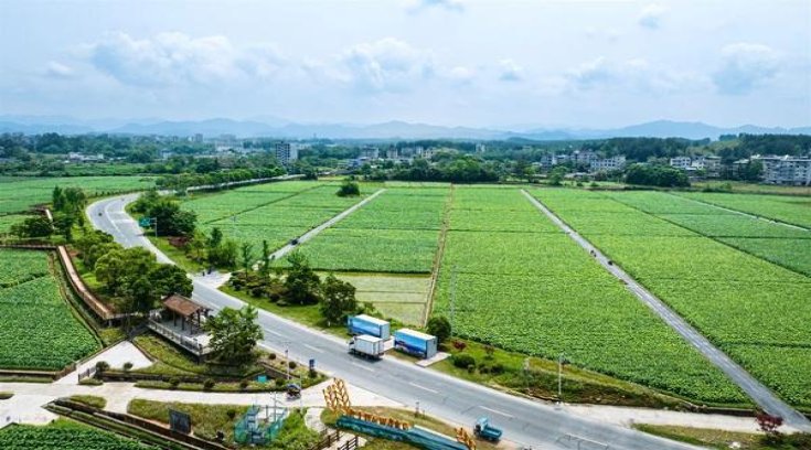 宽窄(国宝之恋细支)一手渠道，宽窄(国宝之恋细支)多少钱一包？
