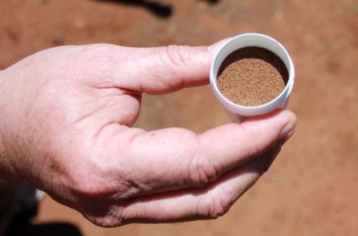 新港(绿卡塔尔版)拿货价格，新港(绿卡塔尔版)香烟价格表2024