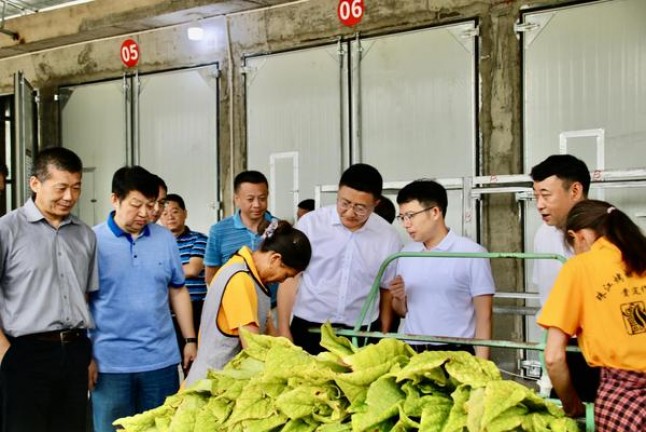 黑猫A弗吉尼亚10支装多少钱一包？黑猫A弗吉尼亚10支装多少钱一盒2024？