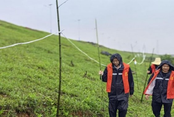 钻石(玫瑰细支)图片及价格查询钻石(玫瑰细支)多少钱一盒？