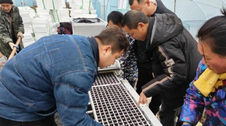 重点通报！爱喜和云烟“挑肥拣瘦”