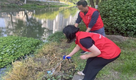 娇子九寨神韵多少钱一盒？娇子九寨神韵价格表一览 