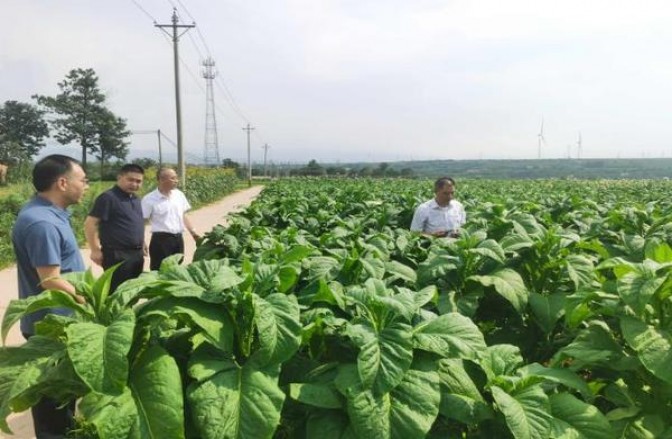 RAISON(black)价格表和图片 RAISON(black)参数详解 