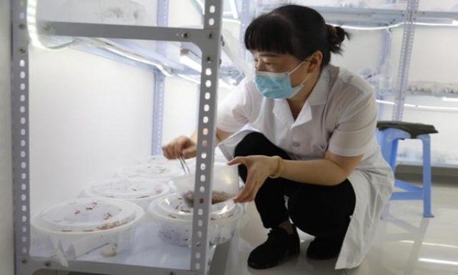 黄山(软喜庆红方印)厂家批发，黄山(软喜庆红方印)多少钱一包2024？