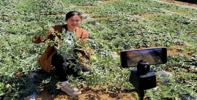 华天下沉香中免版侧翻什么价格？华天下沉香中免版侧翻什么价格？