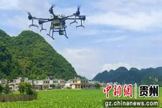 七星(超醇日税龙年限定版)参数详解 七星(超醇日税龙年限定版)价格表图一览表 