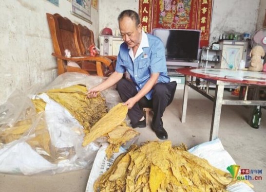 云烟(塞上好江南中支)多少钱一盒？云烟(塞上好江南中支)价格表一览 