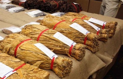 黄山(徽商新视界)价格表一览 黄山(徽商新视界)多少钱一包2025？