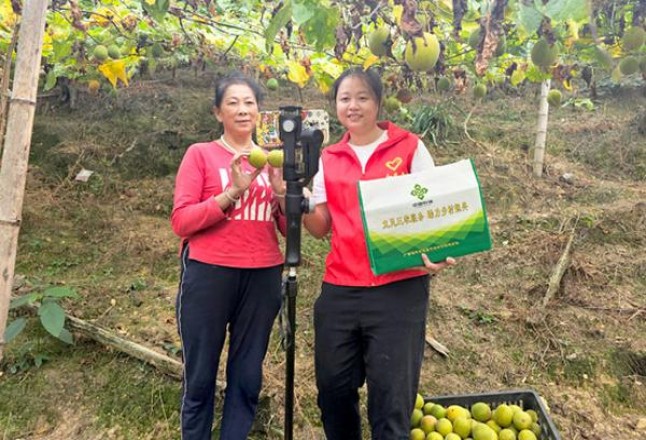 黄金叶(软红南阳)厂家渠道，黄金叶(软红南阳)价格表和图片