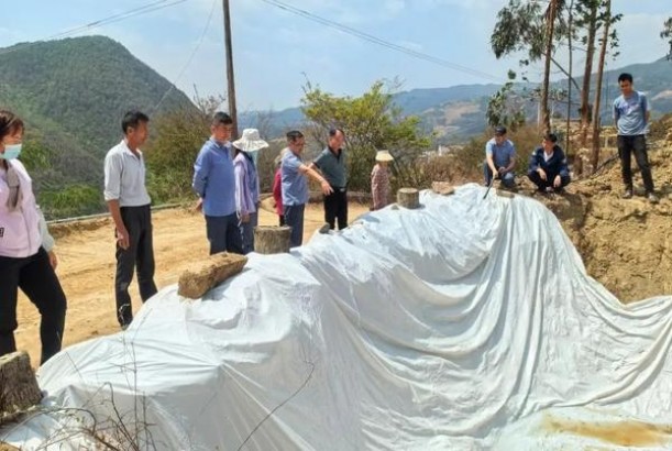 万宝路(黑绿薄荷欧盟版)一手批发，万宝路(黑绿薄荷欧盟版)价格查询