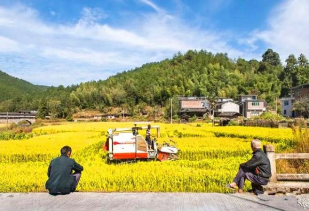 登喜路(黑3mg欧盟免税版)香烟价格表2025 登喜路(黑3mg欧盟免税版)什么价格？