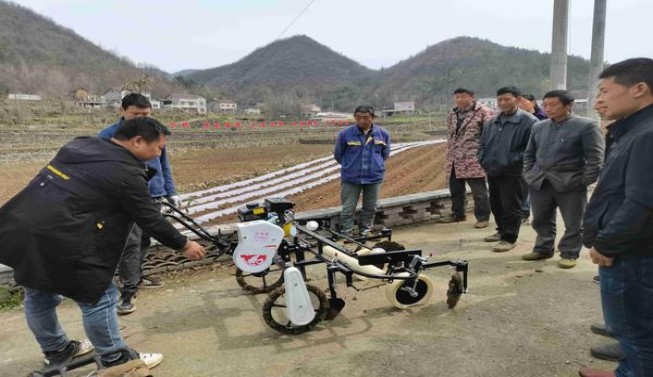 泰山(心悦出口)批发价格，泰山(心悦出口)多少钱一盒？