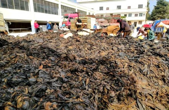 红塔山传奇价钱批发 红塔山传奇价格表图一览表 