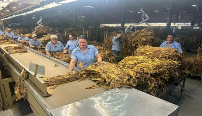 七星蓝莓薄荷双爆珠亚太版多少钱一包2024？七星蓝莓薄荷双爆珠亚太版价钱批发 