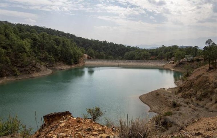 王冠(原味9号)厂家价格，王冠(原味9号)多少钱一盒2024？