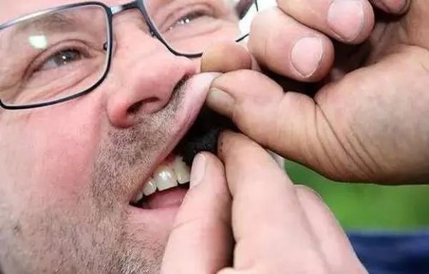 黄鹤楼(果韵)价钱批发 黄鹤楼(果韵)价格查询 