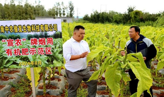 大卫杜夫(蓝中免)批发价格是多少？大卫杜夫(蓝中免)价格表一览 