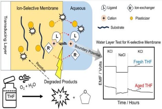 七星(天蓝罗马尼亚版)价钱批发 七星(天蓝罗马尼亚版)价格表和图片 