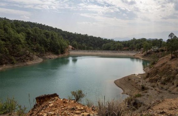 黄鹤楼梅兰竹菊价钱批发 黄鹤楼梅兰竹菊价格表图一览表 