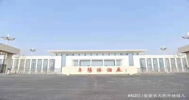 娇子(格调红)价钱批发 娇子(格调红)香烟正品价格表 