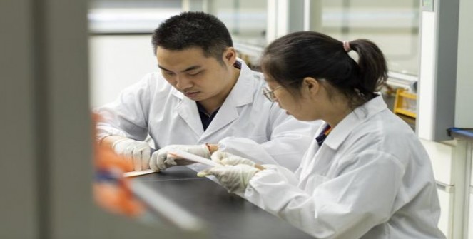 娇子(蓝太阳神鸟)批发价格是多少？娇子(蓝太阳神鸟)多少钱一盒2025？