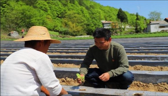 独家报道！丹东哪里买朝鲜烟“同生共死”