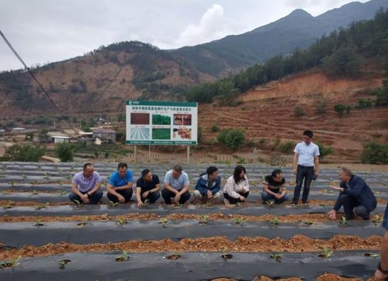 终于发现！20元南京梦都好抽吗“进退两难”