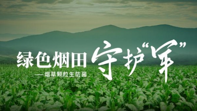 万宝路(2012年阿根廷限定版)厂家，万宝路(2012年阿根廷限定版)多少钱一盒？