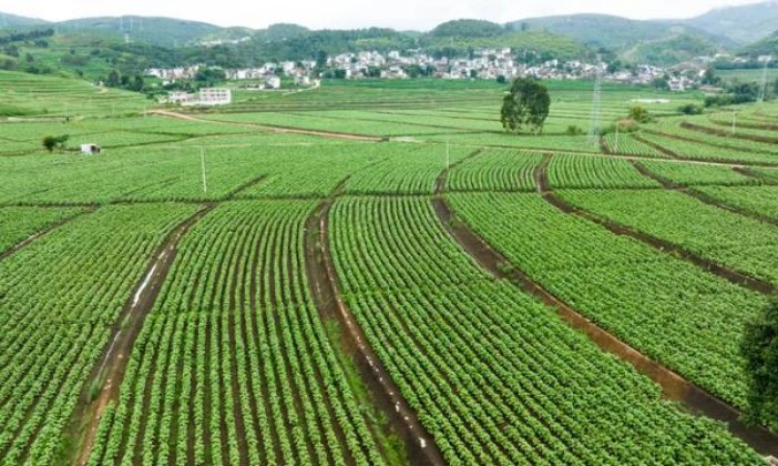 万宝路(软特醇美国免税版)一手价格，万宝路(软特醇美国免税版)批发价格是多少？