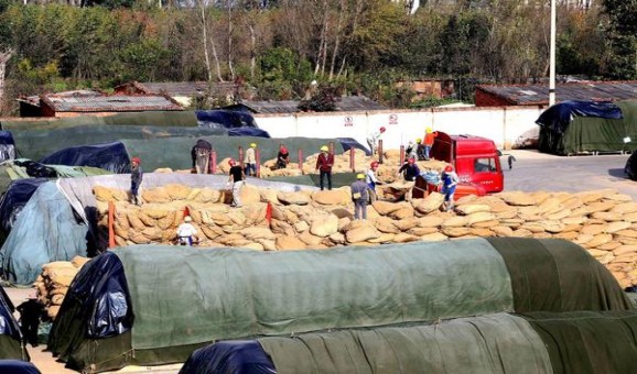 长沙(软)多少钱一包？长沙(软)价格表图一览表 