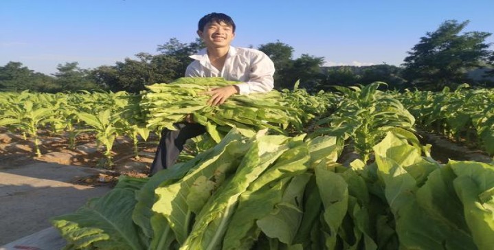 牡丹蓝中支专供出口多少钱一包？牡丹蓝中支专供出口多少钱一盒？