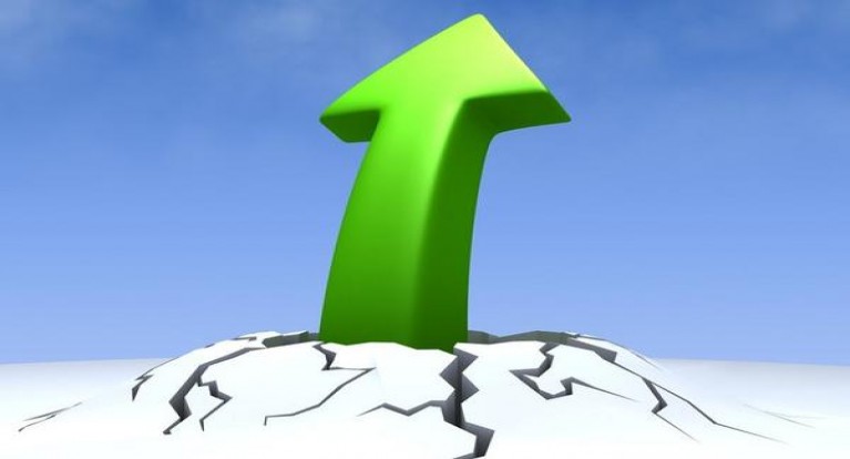 宽窄(三星之眼)图片及价格查询宽窄(三星之眼)多少钱一盒2025？