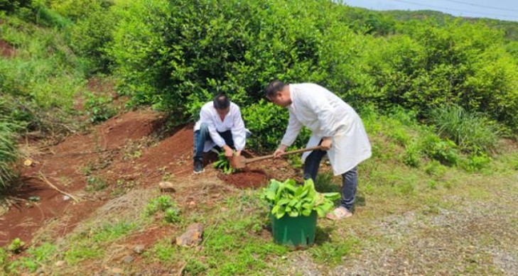 黄鹤楼福禄寿禧·禄价格查询 黄鹤楼福禄寿禧·禄多少钱一盒2024？