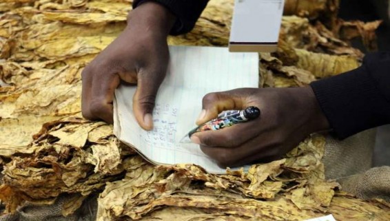 万宝路硬红中醇港免版批发价格是多少？万宝路硬红中醇港免版多少钱一包2024？