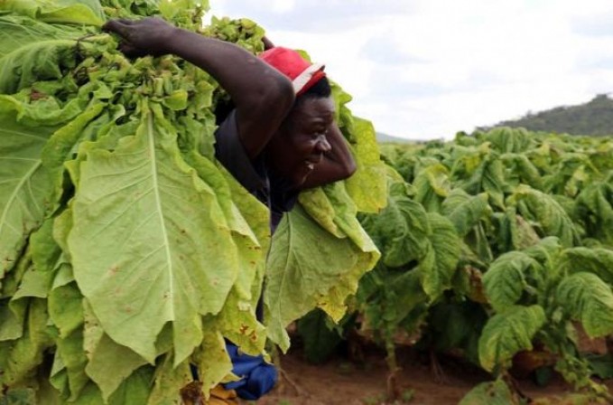 ESSE(Compact Black)价格表一览 ESSE(Compact Black)价格表和图片 