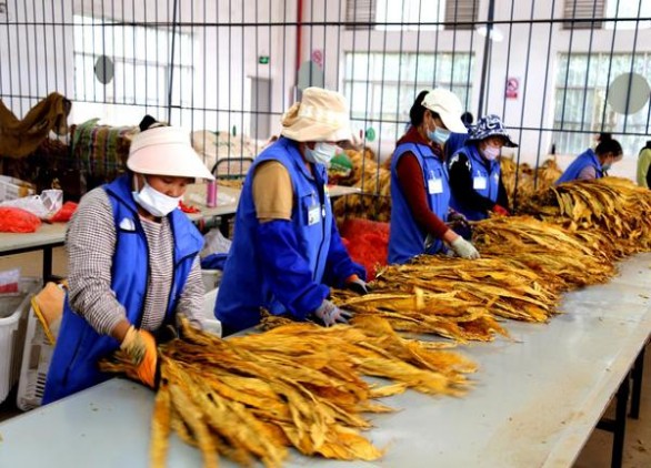 健牌3mg日版价格表和图片健牌3mg日版价钱批发 