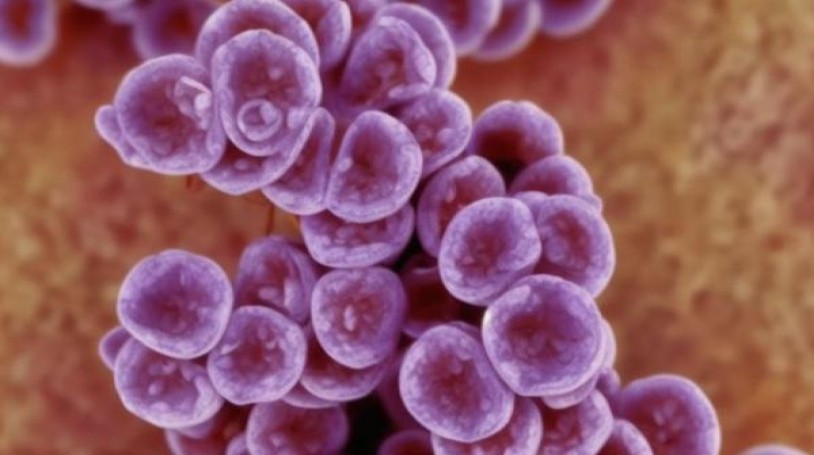 黄山(硬天都)价格表一览 黄山(硬天都)什么价格？