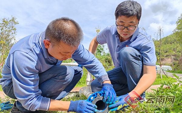 爱喜(拉脱维亚版 超细蓝)厂家渠道，爱喜(拉脱维亚版 超细蓝)价格表和图片
