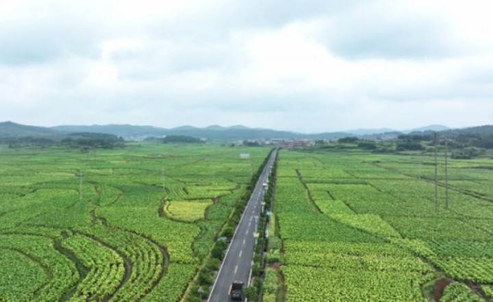 人民大会堂(蓝细支)拿货价格，人民大会堂(蓝细支)香烟价格表2024