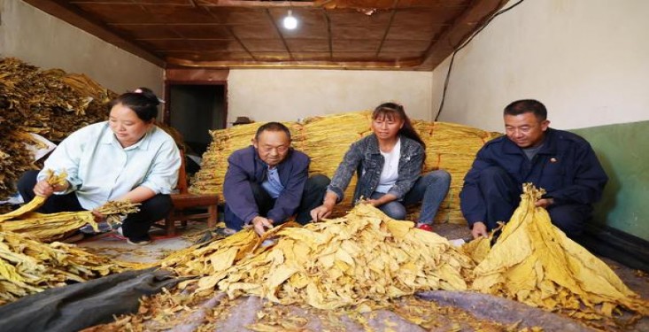 RAISON(sun presso)多少钱一盒2025？RAISON(sun presso)价格查询 