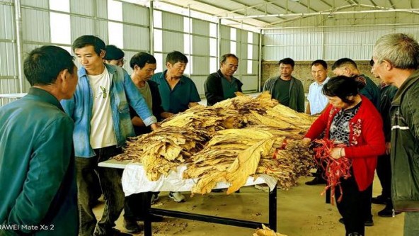 红旗渠新世纪价格表一览 红旗渠新世纪多少钱一盒？